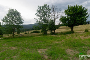 Działka na sprzedaż 1880m2 kłodzki Stronie Śląskie Dolna - zdjęcie 2