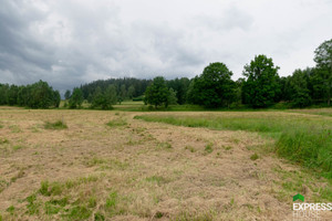 Działka na sprzedaż 1880m2 kłodzki Stronie Śląskie Dolna - zdjęcie 3