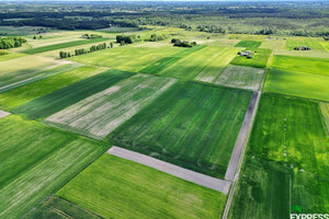 Działka na sprzedaż 21900m2 łęczyński Cyców Świerszczów - zdjęcie 1