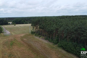 Działka na sprzedaż 8981m2 międzyrzecki Trzciel Brójce Sportowa - zdjęcie 3