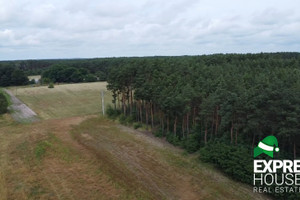 Działka na sprzedaż 8981m2 międzyrzecki Trzciel Brójce Sportowa - zdjęcie 3