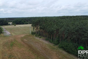 Działka na sprzedaż 8981m2 międzyrzecki Trzciel Brójce Sportowa - zdjęcie 3