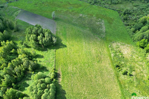 Działka na sprzedaż 12100m2 łęczyński Cyców Świerszczów - zdjęcie 2