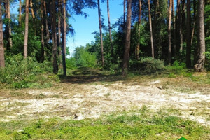 Działka na sprzedaż 4500m2 otwocki Wiązowna Kruszówiec Nowa - zdjęcie 2