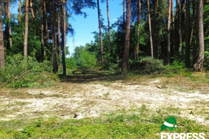 Działka na sprzedaż 4500m2 otwocki Wiązowna Kruszówiec Nowa - zdjęcie 2