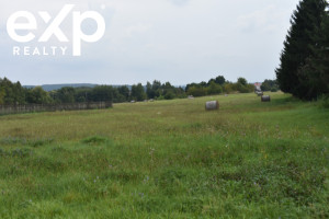 Działka na sprzedaż 14274m2 ropczycko-sędziszowski Sędziszów Małopolski - zdjęcie 2