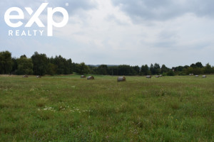 Działka na sprzedaż 14274m2 ropczycko-sędziszowski Sędziszów Małopolski - zdjęcie 1