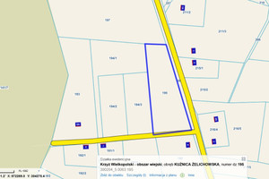 Działka na sprzedaż 4700m2 czarnkowsko-trzcianecki Krzyż Wielkopolski Kuźnica Żelichowska - zdjęcie 4