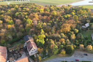 Działka na sprzedaż 5548m2 wrocławski Kąty Wrocławskie Bogdaszowice Główna - zdjęcie 2