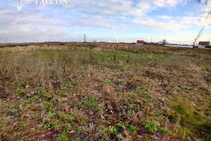 Działka na sprzedaż 1000m2 oleśnicki Oleśnica Dąbrowa - zdjęcie 3