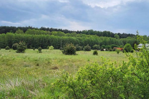 Działka na sprzedaż zawierciański Łazy Rokitno Szlacheckie - zdjęcie 1