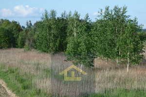 Działka na sprzedaż 3359m2 otwocki Kołbiel Gadka - zdjęcie 3