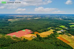 Działka na sprzedaż 529m2 Skierniewice - zdjęcie 3