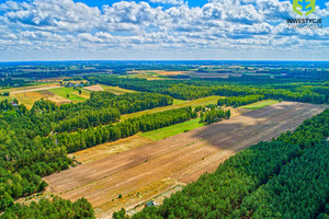 Działka na sprzedaż 709m2 miński Dobre Rynia - zdjęcie 2