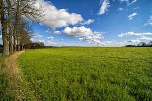 Działka na sprzedaż 668m2 sztumski Mikołajki Pomorskie Balewo - zdjęcie 3