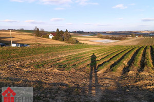 Działka na sprzedaż 1000m2 proszowicki Koszyce Siedliska - zdjęcie 2