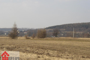 Działka na sprzedaż 3900m2 krakowski Czernichów Rusocice - zdjęcie 3