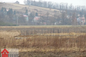 Działka na sprzedaż 1947m2 krakowski Michałowice Młodziejowice - zdjęcie 3