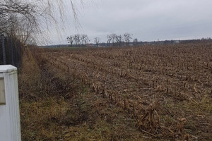 Działka na sprzedaż 2442m2 bydgoski Dobrcz Stronno - zdjęcie 2