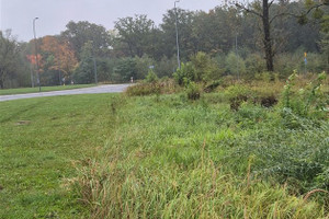 Działka na sprzedaż 10683m2 Zabrze Kopalnia - zdjęcie 1