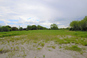 Działka na sprzedaż 19600m2 kwidzyński Sadlinki Olszanica - zdjęcie 4