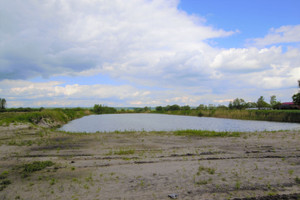 Działka na sprzedaż 19600m2 kwidzyński Sadlinki Olszanica - zdjęcie 2