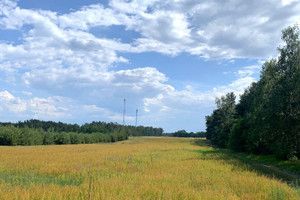 Działka na sprzedaż 1400m2 turecki Turek Kowale Księże - zdjęcie 2