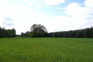 Działka na sprzedaż 81000m2 turecki Malanów Brody - zdjęcie 3