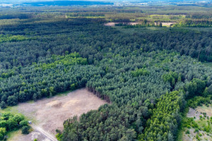 Działka na sprzedaż 21229m2 turecki Turek Albertów - zdjęcie 2