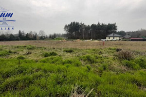 Działka na sprzedaż 1052m2 leszczyński Rydzyna Dąbcze - zdjęcie 1