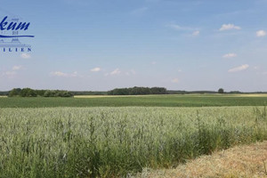 Działka na sprzedaż 839m2 leszczyński Włoszakowice Jezierzyce Kościelne - zdjęcie 1