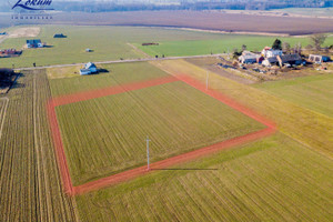 Działka na sprzedaż 8539m2 leszczyński Lipno Wyciążkowo - zdjęcie 2