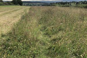 Działka na sprzedaż 2221m2 nowotarski Szaflary - zdjęcie 1