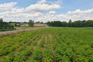 Działka na sprzedaż 1166m2 krakowski Kocmyrzów-Luborzyca Kocmyrzów - zdjęcie 1