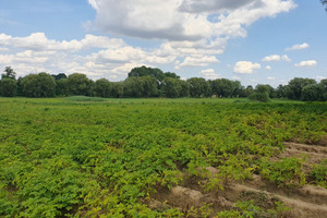 Działka na sprzedaż 1166m2 krakowski Kocmyrzów-Luborzyca Kocmyrzów - zdjęcie 2