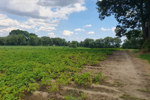 Działka na sprzedaż 2000m2 krakowski Kocmyrzów-Luborzyca Kocmyrzów - zdjęcie 2