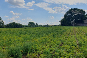 Działka na sprzedaż 3700m2 krakowski Kocmyrzów-Luborzyca Kocmyrzów - zdjęcie 1