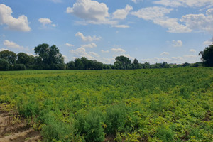 Działka na sprzedaż 3700m2 krakowski Kocmyrzów-Luborzyca Kocmyrzów - zdjęcie 3