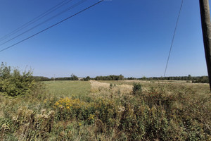 Działka na sprzedaż 15500m2 buski Stopnica Szczytniki 1,55ha Szczytniki gminy Stopnica . - zdjęcie 3