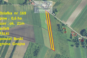 Działka na sprzedaż 6000m2 buski Gnojno Falki Działka nr 169 ,    pow.    0,6ha . - zdjęcie 3