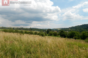 Działka na sprzedaż 4231m2 wadowicki Lanckorona - zdjęcie 1