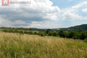 Działka na sprzedaż 4231m2 wadowicki Lanckorona - zdjęcie 1