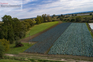 Działka na sprzedaż 25740m2 krakowski Igołomia-Wawrzeńczyce Wawrzeńczyce - zdjęcie 2