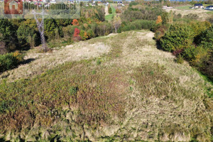 Działka na sprzedaż 10034m2 krakowski Skawina Jurczyce - zdjęcie 2