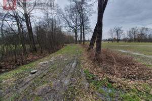 Działka na sprzedaż 3000m2 krakowski Skawina Wielkie Drogi - zdjęcie 2