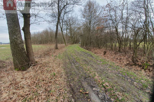 Działka na sprzedaż 3000m2 krakowski Skawina Wielkie Drogi - zdjęcie 3