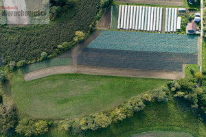 Działka na sprzedaż 25740m2 krakowski Igołomia-Wawrzeńczyce Wawrzeńczyce - zdjęcie 3