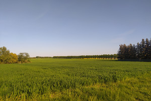 Działka na sprzedaż 5100m2 policki Police Wieńkowo - zdjęcie 1