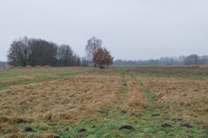 Działka na sprzedaż 5100m2 policki Police Wieńkowo - zdjęcie 1