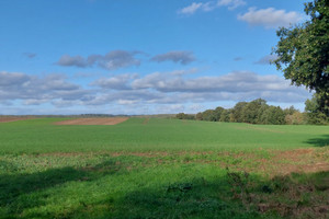 Działka na sprzedaż 9800m2 gryfiński Stare Czarnowo Żelisławiec - zdjęcie 1